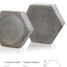 Trylinka zwykła - zdjecie 1