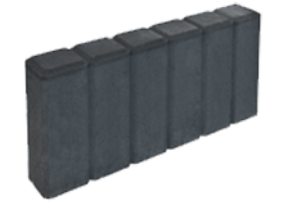 Palisada endo