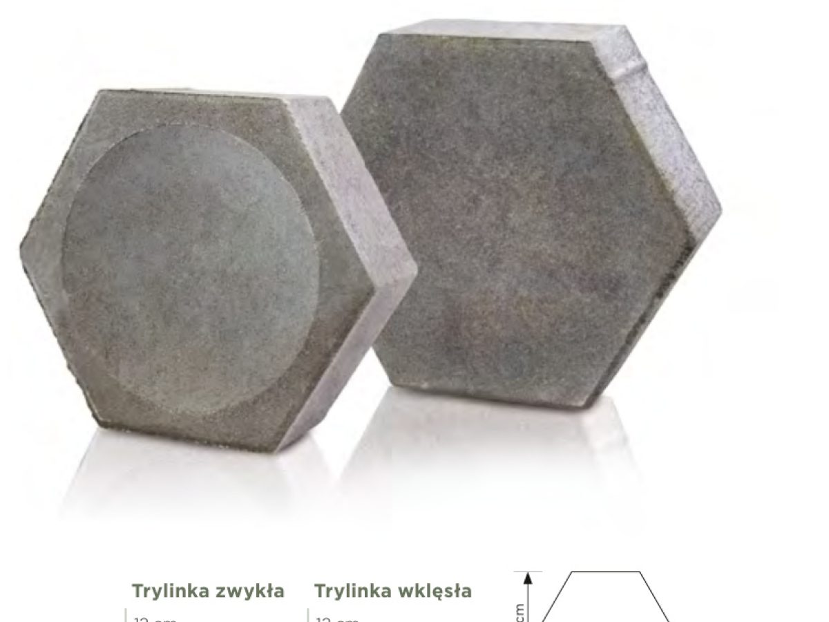 Trylinka wklęsła
