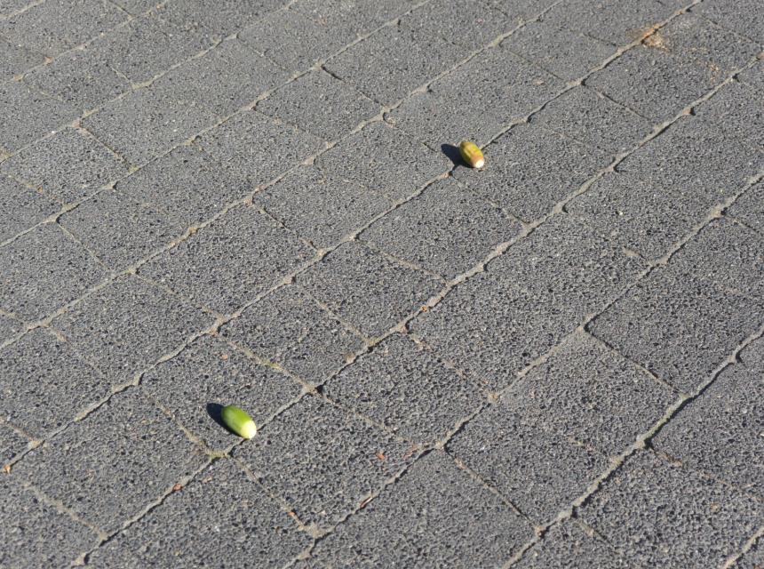 K-23 płukana czarna - TB Kostka Brukowa