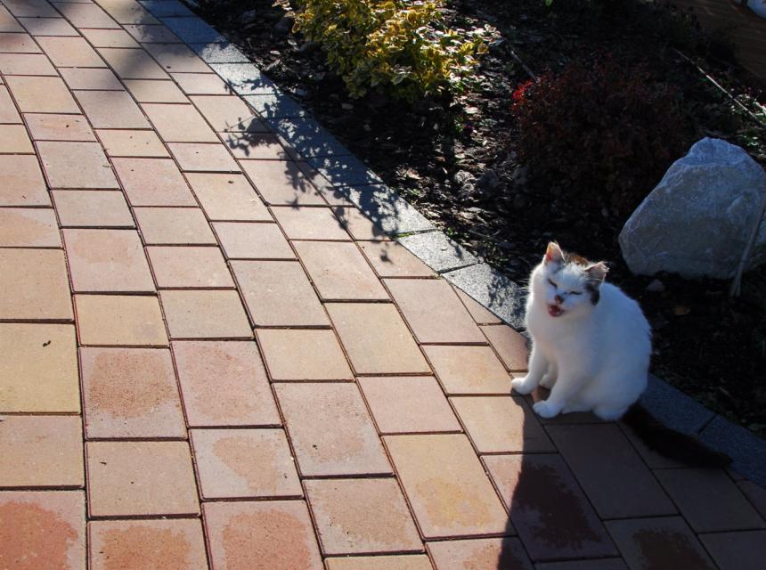 K-28 melanż jasny - TB Kostka Brukowa