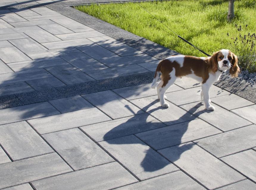 ELBA mix stalowy - TB Kostka Brukowa