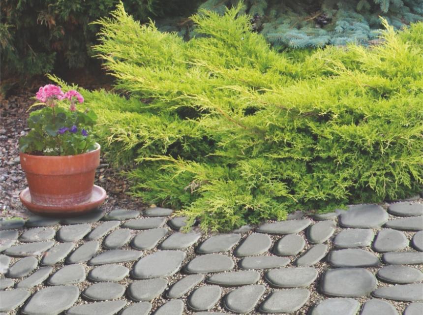 STAROBRUK płyta ażurowa szara - TB Kostka Brukowa